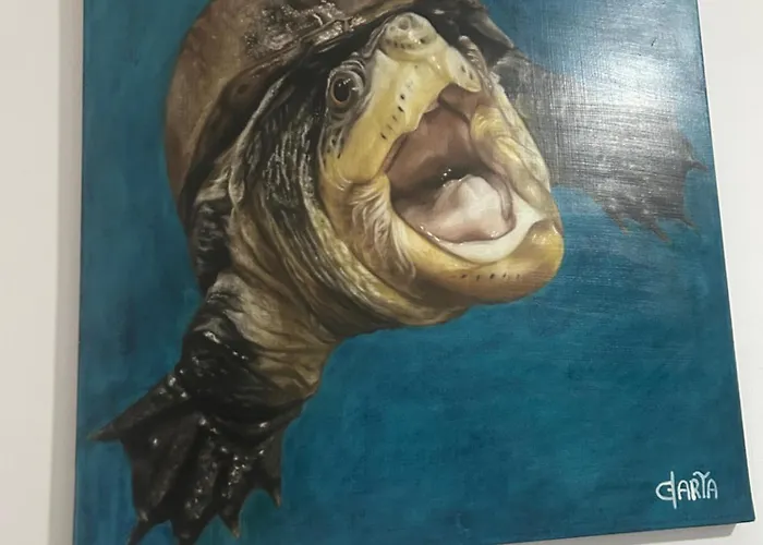 Semesterbostad Sa Domixedda Di Caterina Villasimius